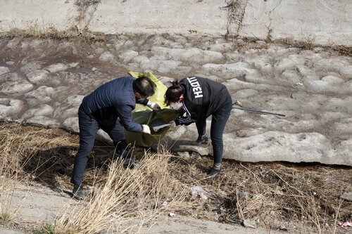 Нийслэлийн албан хаагчид бүх нийтийн их цэвэрлэгээнд нэгдлээ